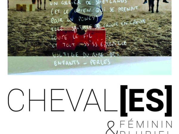 [Expo] CHEVAL[ES] féminin &&nbsp;pluriel